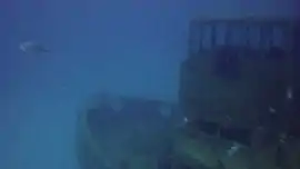 La proue et la passerelle