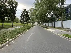 Image illustrative de l’article Rue Georges-Suant