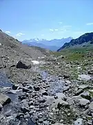 Photographie d'un ruisseau dans un vallon, débutant sur des plaques de névés, coulant entre des prairies verdies et un peu rocailleuses, serpentant jusqu'au loin, à l'arrière-plan où on voit des sommets enneigés.