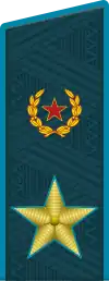 Image illustrative de l’article Général d'armée (Russie)
