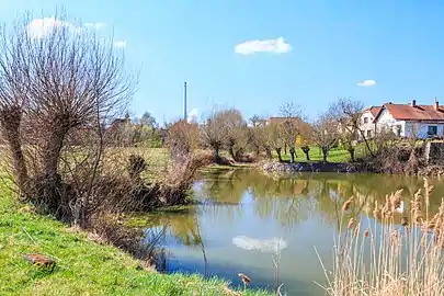 Étang de Houšovec.