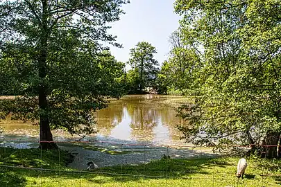 Étang à Železnice.