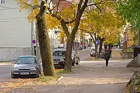 Image illustrative de l’article Tähe tänav