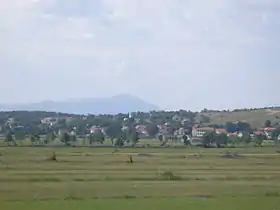 Roško Polje