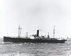 Le SS Medina à New York, passant devant la statue de la Liberté, lors de son voyage inaugural en 1914.