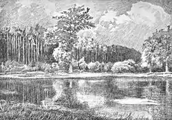 étang dans la Sachsenwald, dessin de 1895
