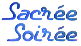 Image illustrative de l’article Sacrée Soirée