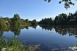 Les étangs.