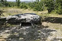 Image illustrative de l’article Dolmen de la Chassagne