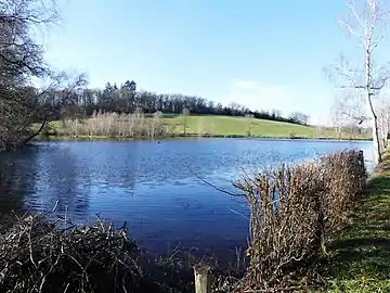 L’étang en bordure de la RD 990.