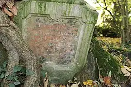 Pierre tombale de Léon Laleux, décédé en 1863, enchâssée dans la souche d'un arbre.