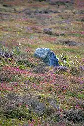 Menhir de Coathérel