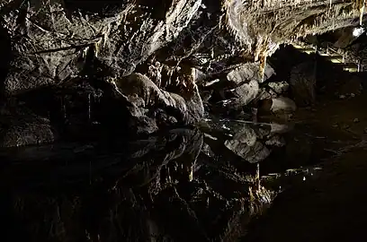 Salle des Draperies, grottes de Han, Belgique.