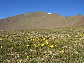Vue du pic San Luis depuis le nord-est.