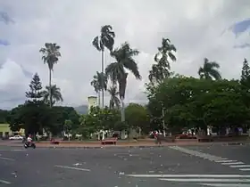 San Pedro (Valle del Cauca)