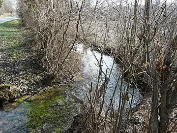 Près du Moulin de l'Étang, la Sandonie sert de limite entre Paussac-et-Saint-Vivien et Saint-Just.