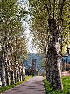 Santa Maria de Merlès