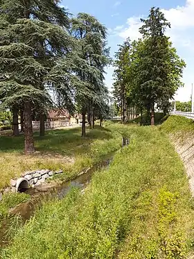 Image illustrative de l’article Sarmon