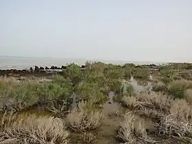 Image illustrative de l’article Lac Sary Kamysh