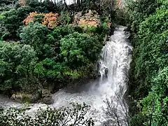 Le Saut du Capelan en crue à La Motte pendant l'hiver 2008/2009.