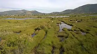 Paysage du marais de Schiniás.