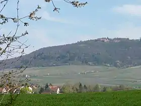 Image illustrative de l’article Schwanberg