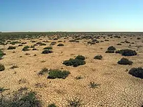 Image illustrative de l’article Sebkha Kelbia