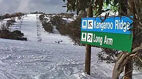 Selwyn Snowfields, dans le nord des Snowy Mountains