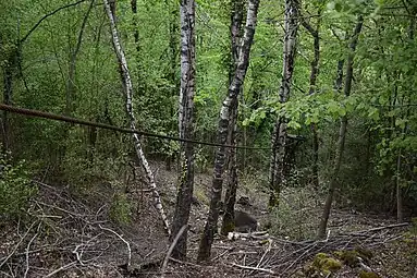 Câble de la trémie.