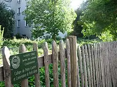 Une réserve de biodiversité du Jardin des plantes : culture de porte-graines et conservation de pieds-mères dans le clos Patouillet, ancienne propriété de Buffon.