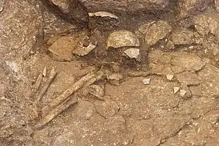 Vue d'ossements humains dans une sépulture en pleine terre.