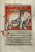 Bestiaire de Radford, l'éléphant