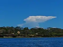 Littoral de Shimoni.
