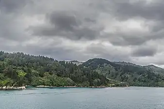 Photographie d'une pente boisée surplombant la mer.