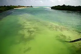 Image illustrative de l’article Sian Ka'an