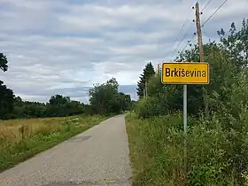 Brkiševina