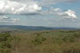 Image illustrative de l’article Forêt d'Écouves