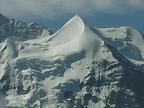 Vue du Silberhorn.