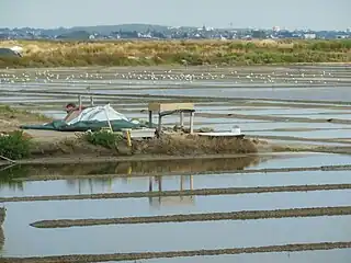 Les marais salants à Sissable, vue sur le village de Saillé.