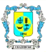 Blason de Skadovsk