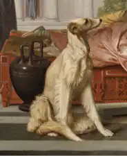 Détail du lévrier.