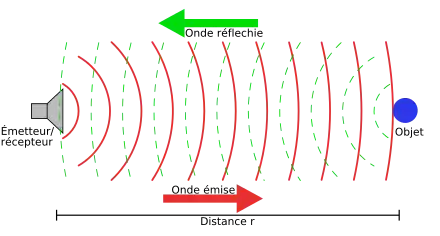 Principe de l’écholocalisation.
