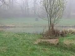 Source de la Tardoire (Pageas).