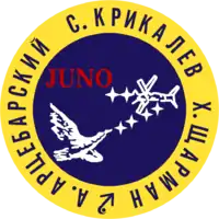 Insigne de la mission