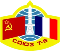 Insigne de la mission