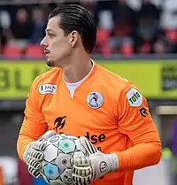 Image illustrative de l’article Nick Olij