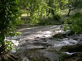 Spring Branch (comté de Comal, Texas)