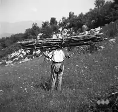 Robidišče (en), juin 1951