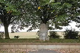 Stèle du 16 juin 1940, rue du 8ème Régiment de Tirailleurs Tunisiens, Boisville-la-Saint-Père, Eure-et-Loir, France.