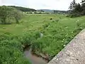 Un ruisseau, affluent de la Dunières.